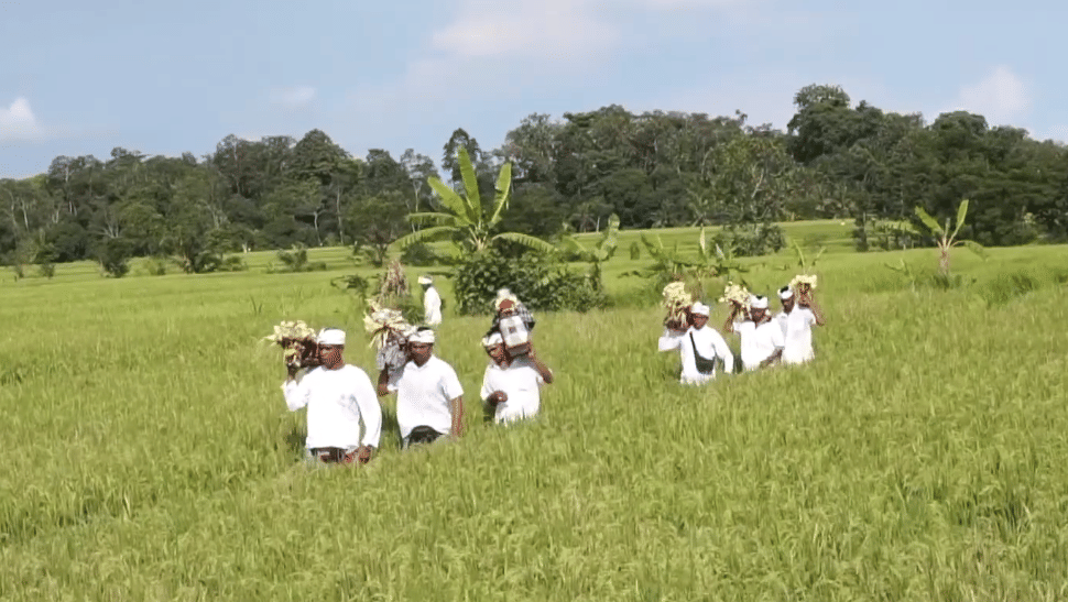 Suasana di Desa Kekeran, Mengwi, Badung. 