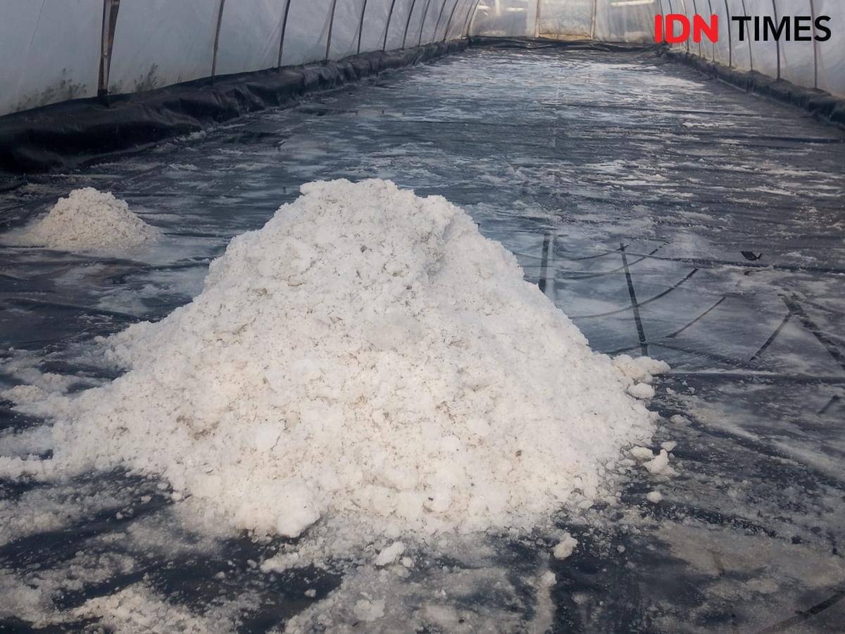 Dari Laut Selatan Bantul, Purnama Produksi Garam Krosok Seorang Diri