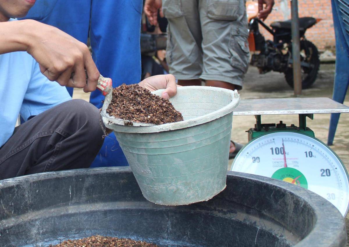 Inovasi Home Dry Coffee berbasis Solar Dryer yang dilakukan mahasiswa Unsri untuk petani kopi. (Fathir for IDN Times)