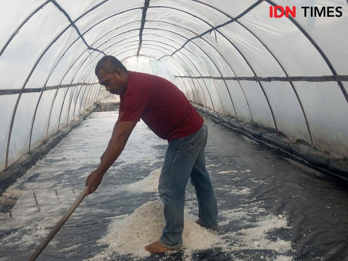 Dari Laut Selatan Bantul, Purnama Produksi Garam Krosok Seorang Diri