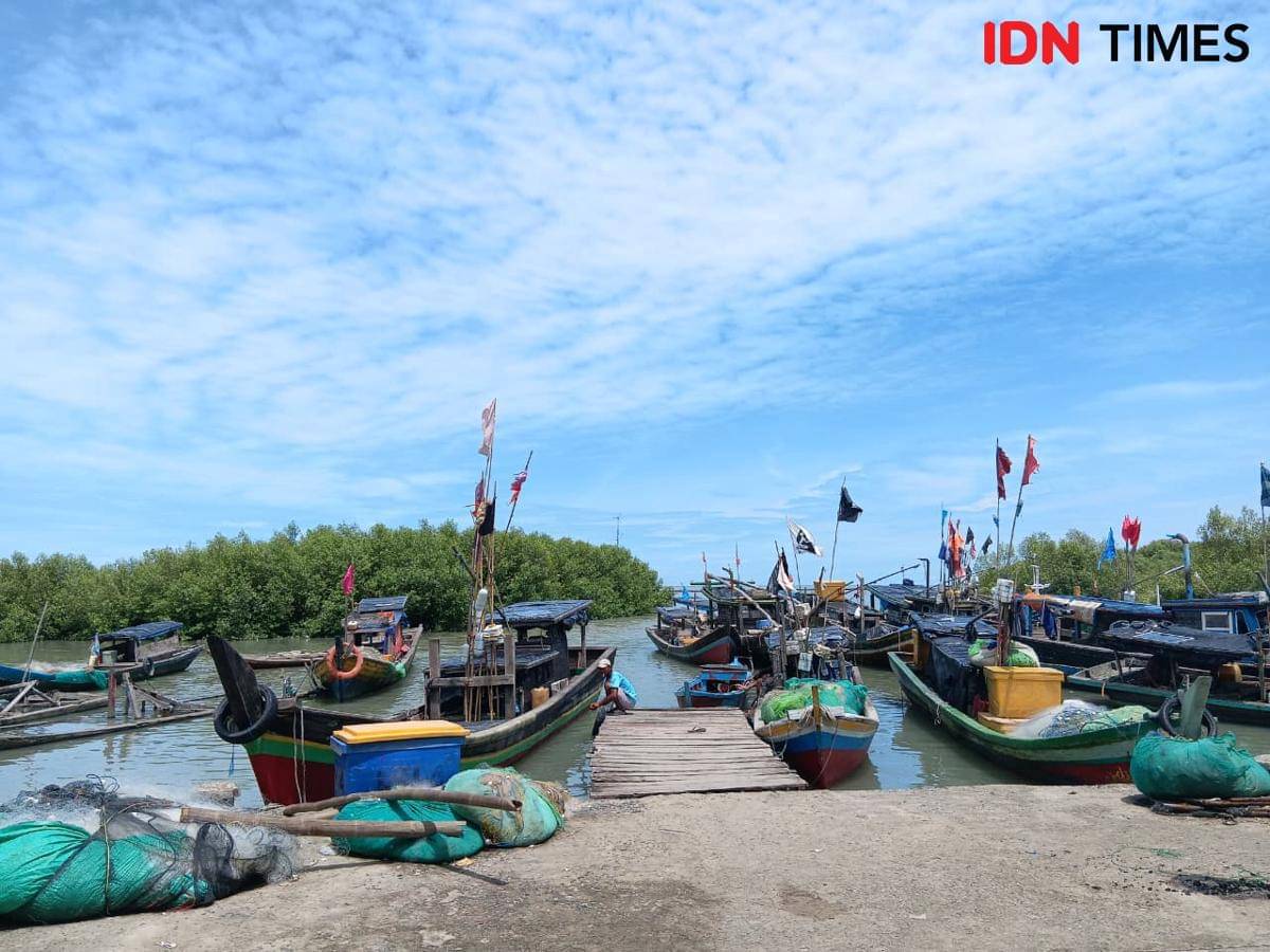 WhatsApp Image 2025-11-13 at 2.11.06 AM.jpeg