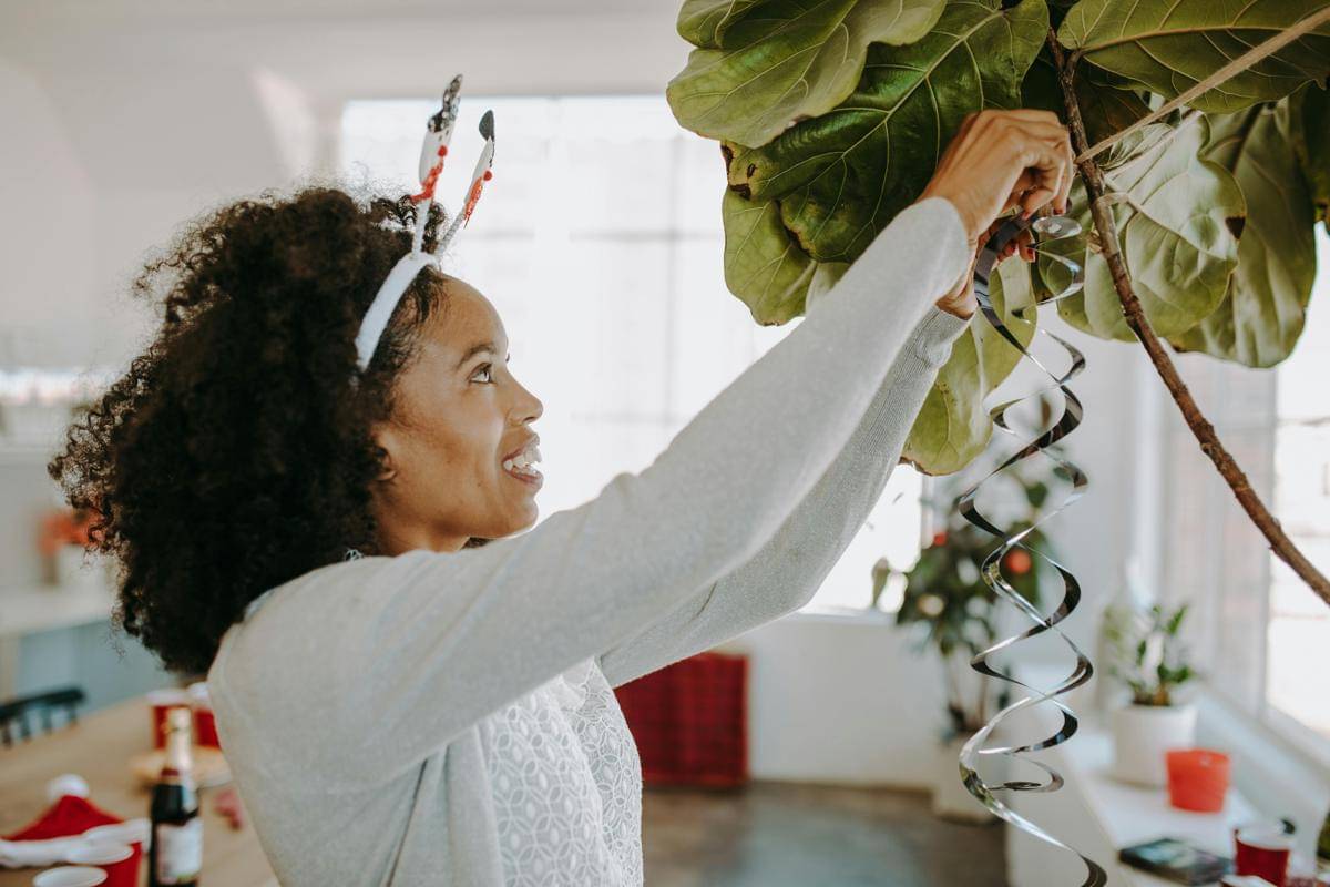 merawat tanaman hias