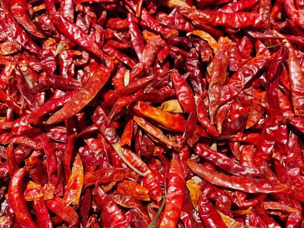 ilustrasi cabai kering