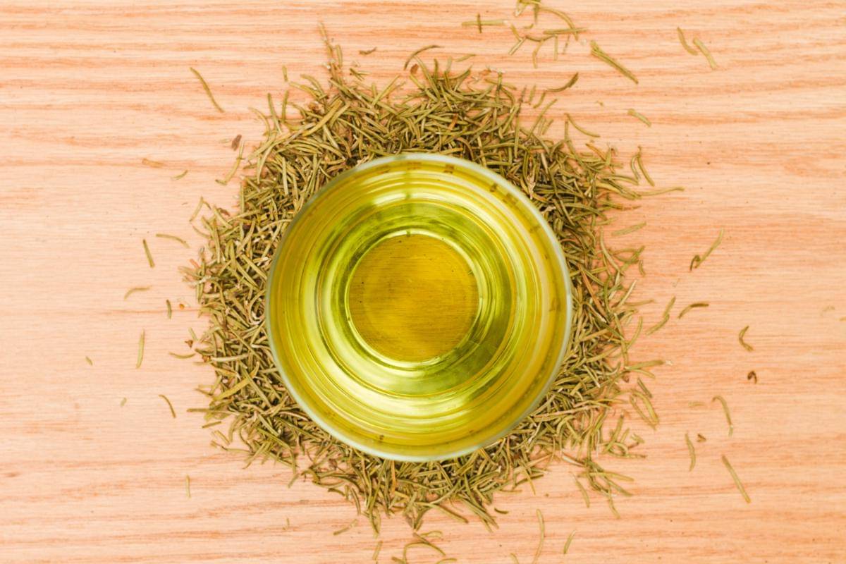 Ilustrasi tea tree oil