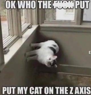 meme kucing dan dinding