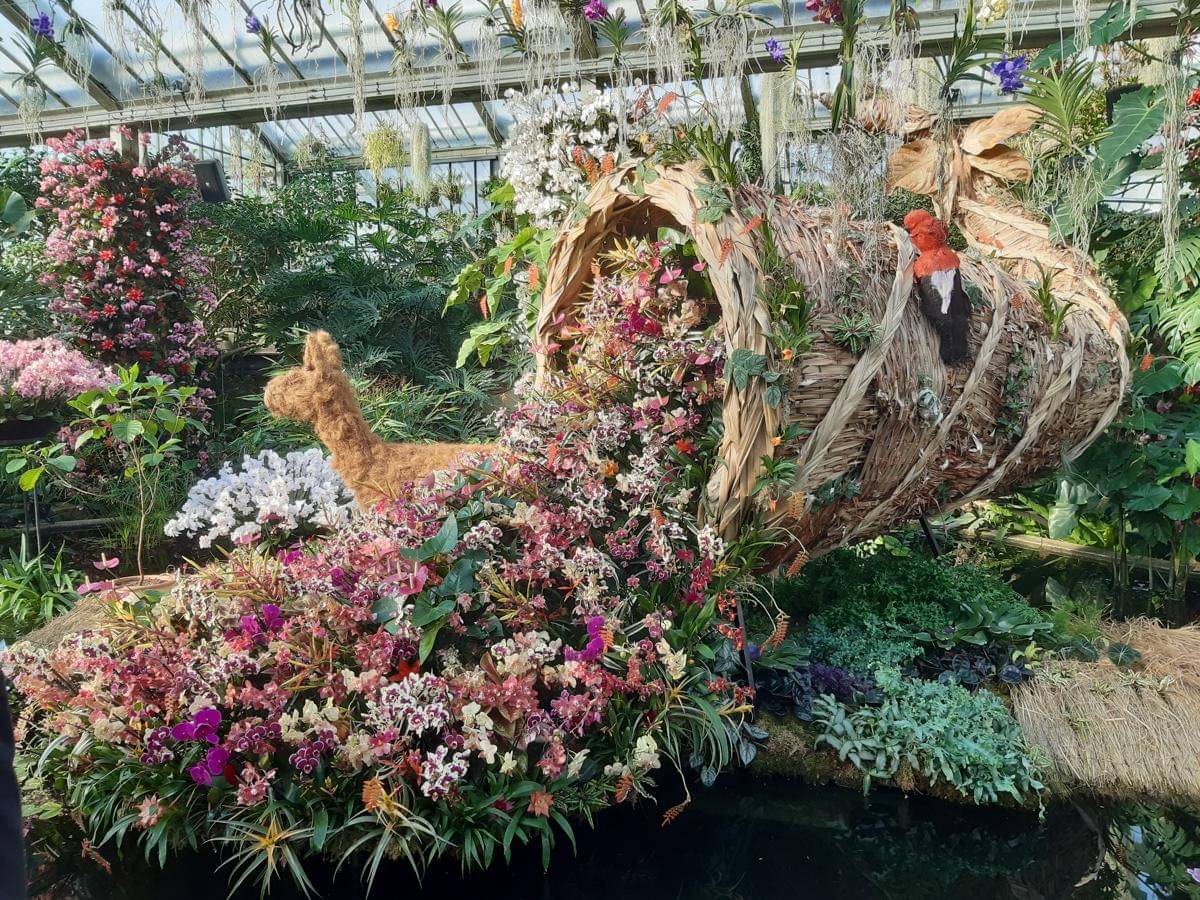 potret bunga warna-warni di Kew Gardens