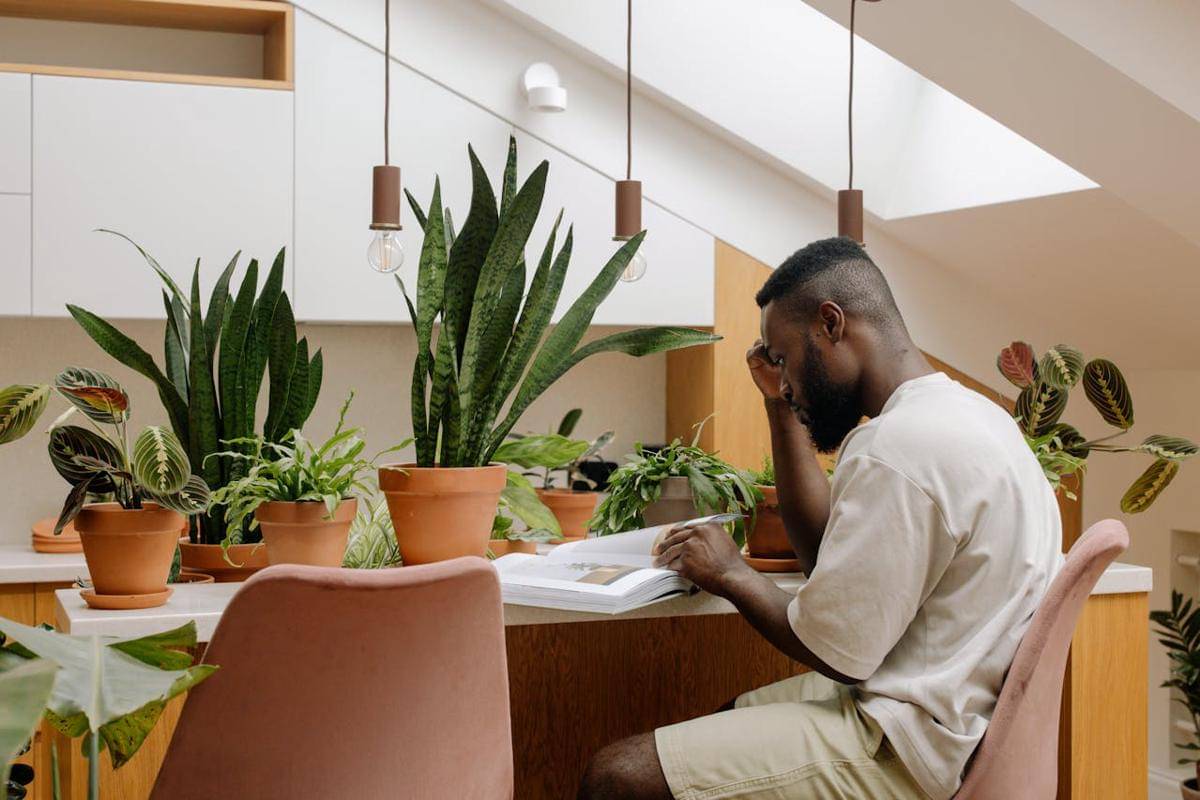 ilustrasi kepala botak