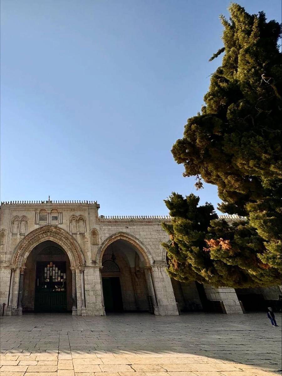 Potret Shandy Aulia ke Al Aqsa di Palestina