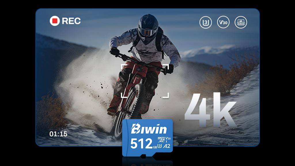 Biwin MS210 microSD Card