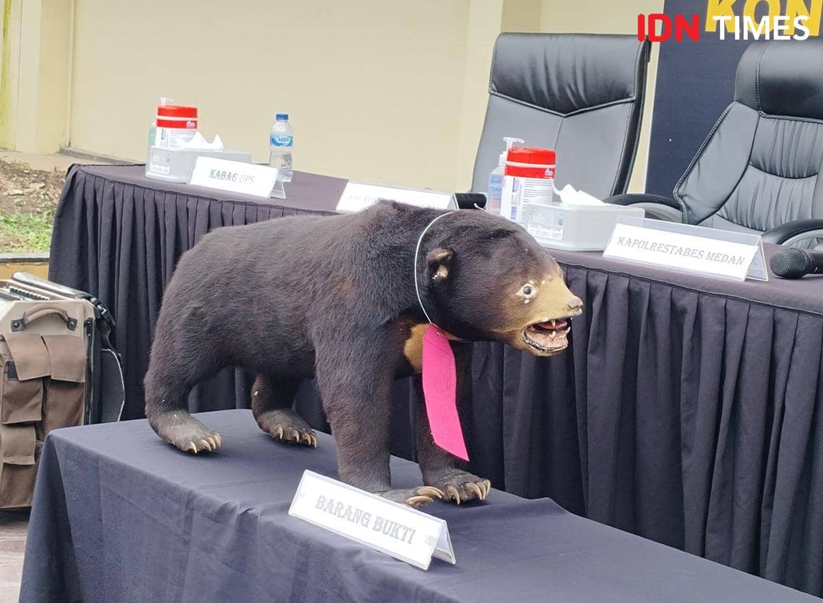 Barang bukti beruang madu yang dijual tersangka (IDN Times/Eko Agus Herianto)