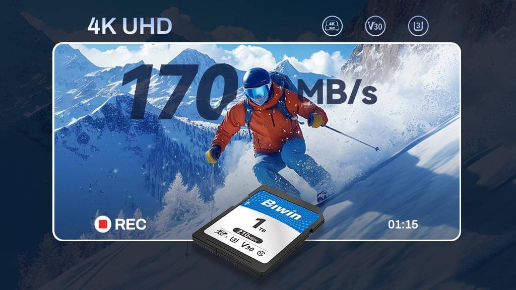 Kartu SD Biwin SD210