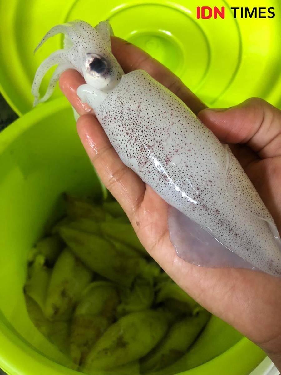 Cumi-cumi segar siap masak untuk menu cumi item UMKM Rasa yg Berkah di Demak. (IDN Times/Dhana Kencana)