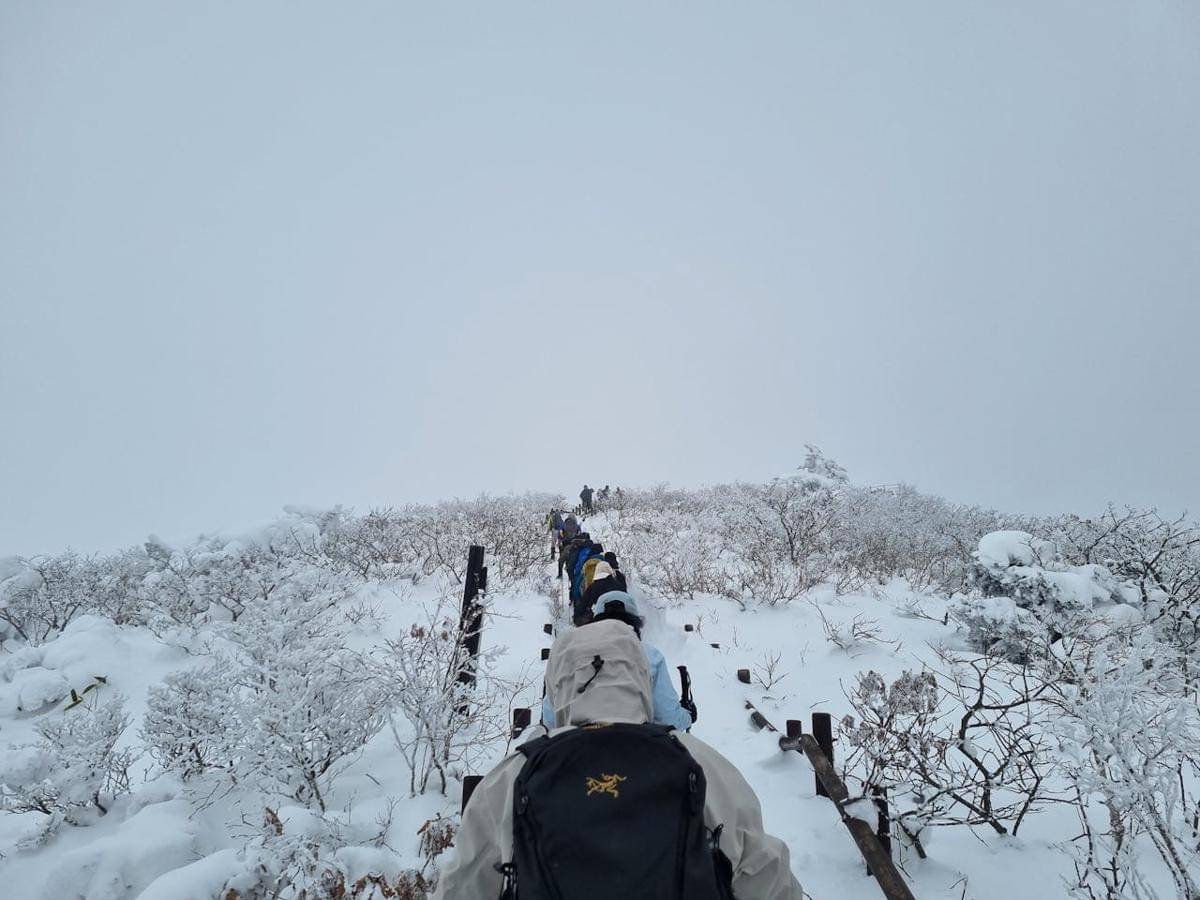 Musim dingin di Korea Selatan