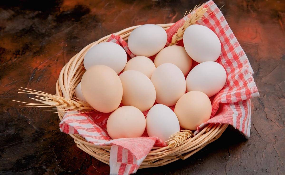 ilustrasi telur utuh