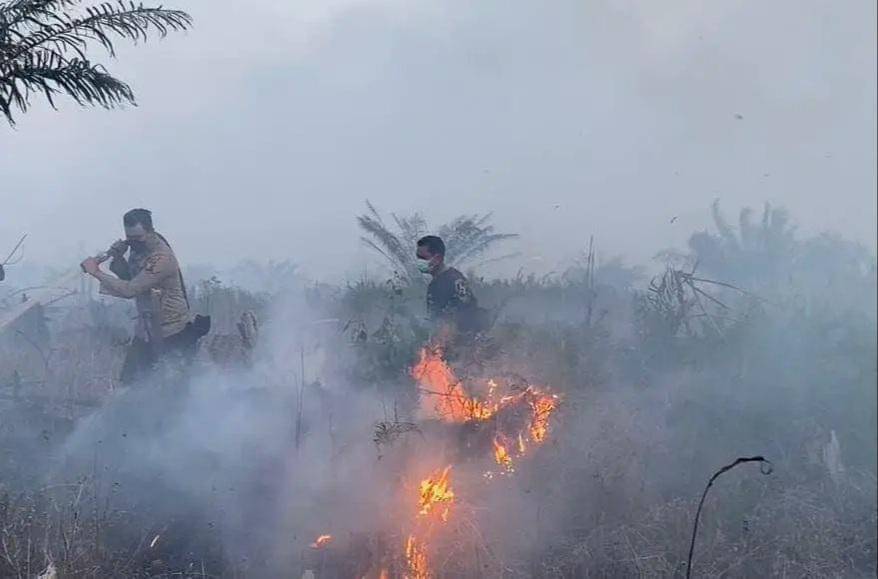 Karhutla yang terjadi di Provinsi Riau