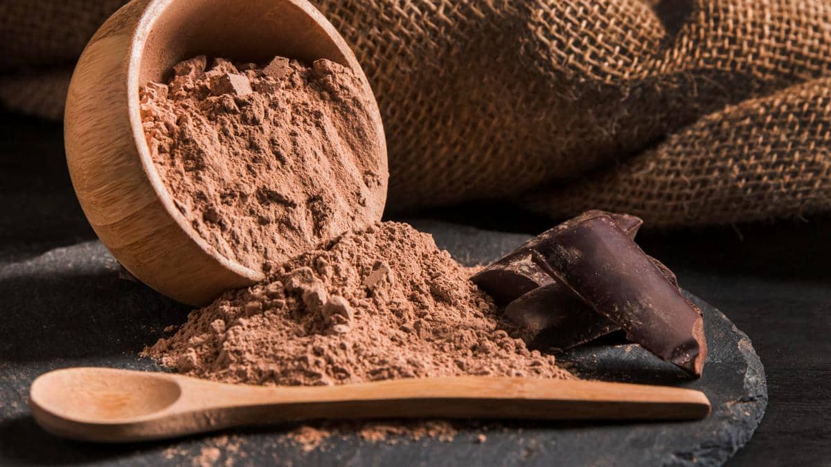 ilustrasi cocoa powder 