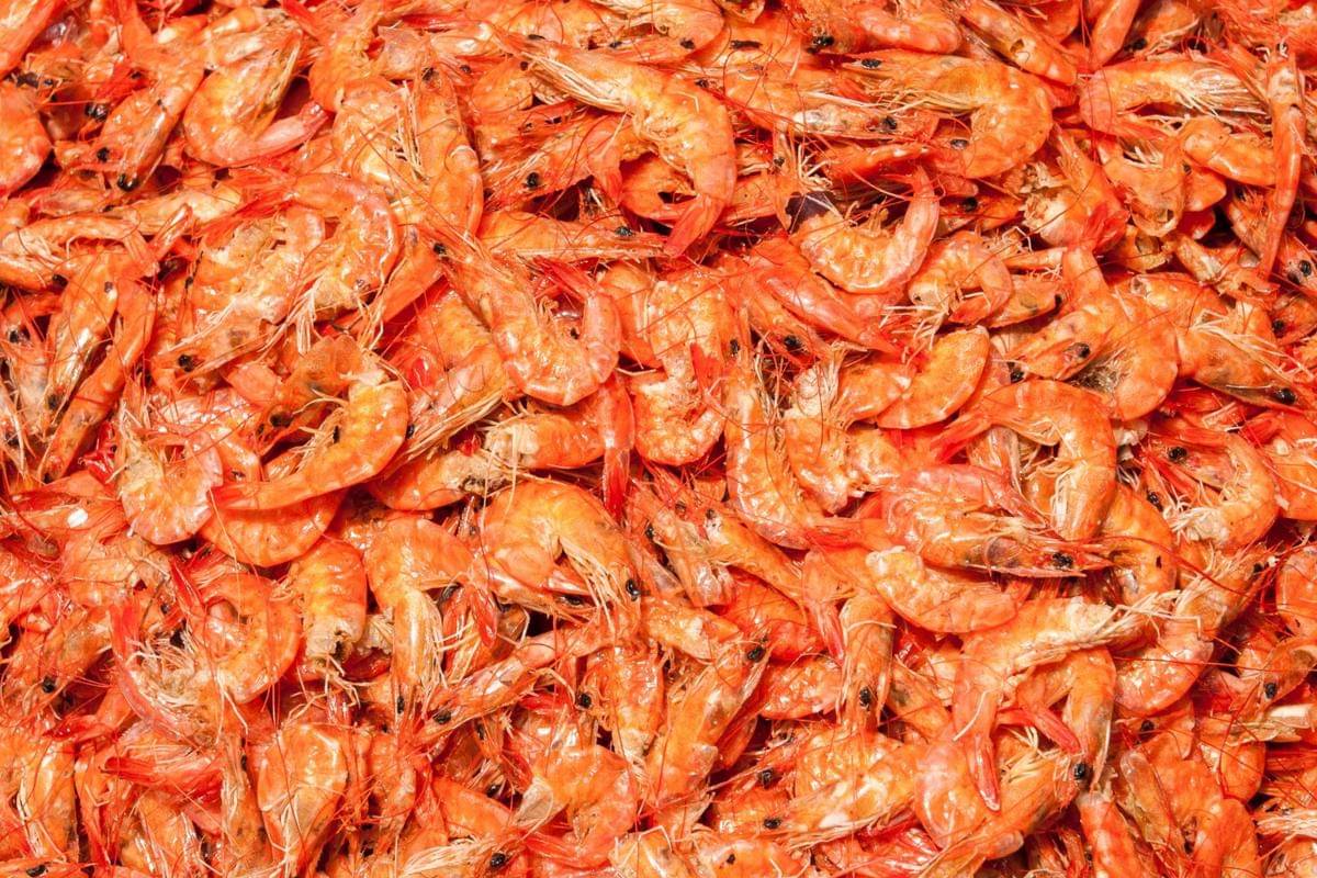 ilustrasi tumis larong