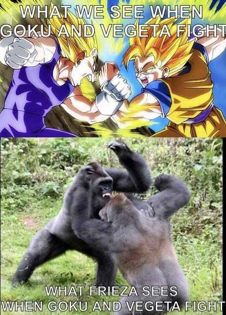 meme anime tentang monyet