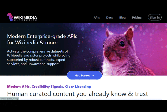 tampilan halaman Wikimedia Enterprise