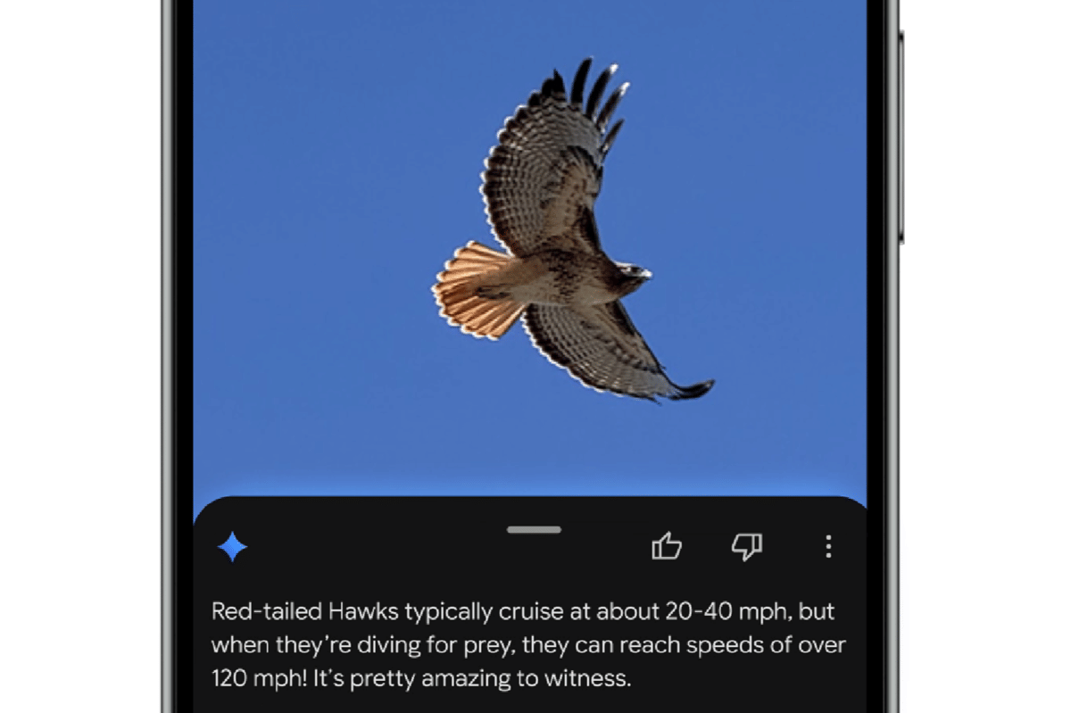 fitur Ask di Google Photos