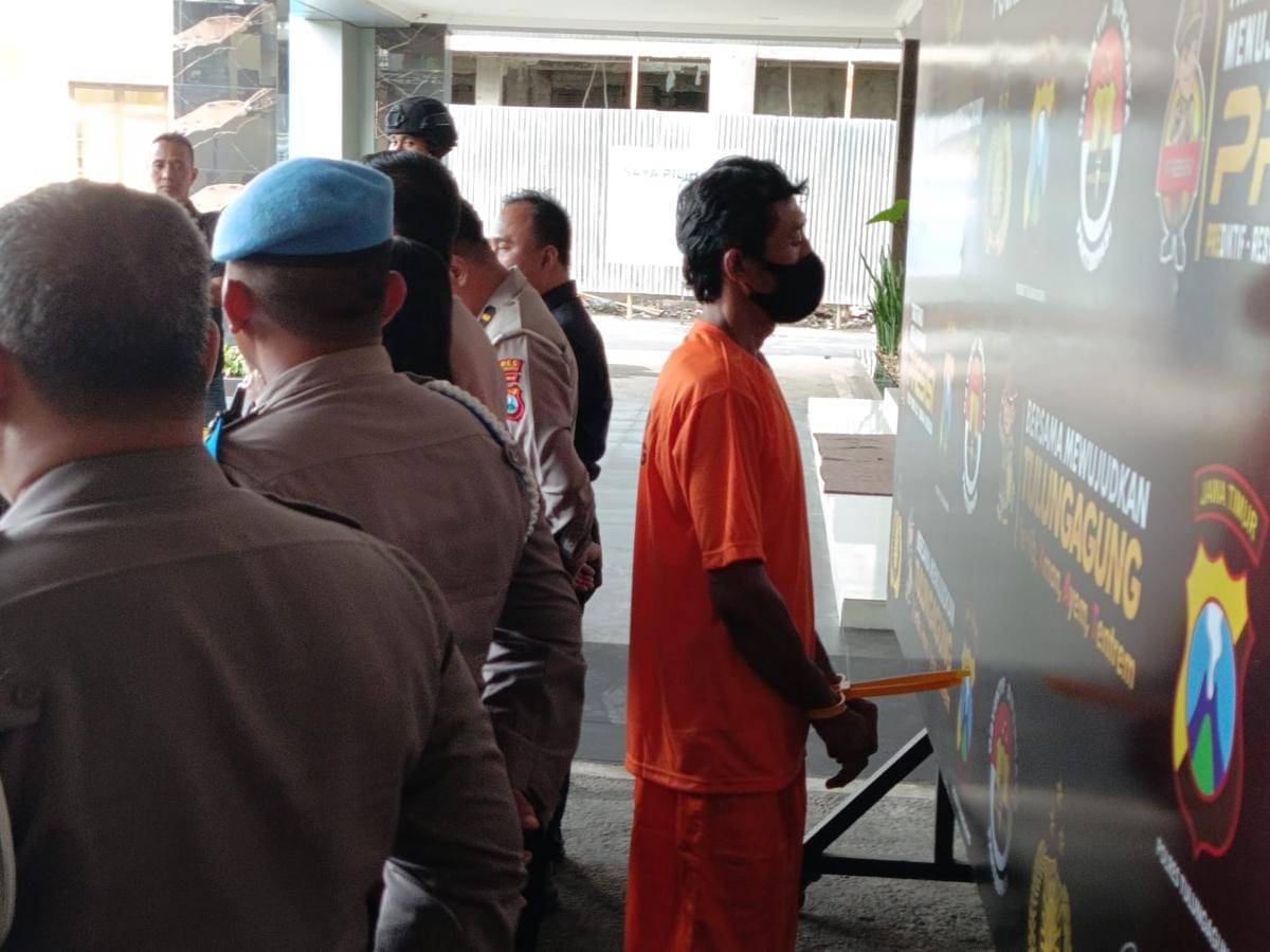 WhatsApp Image 2025-11-15 at 17.52.38.jpeg