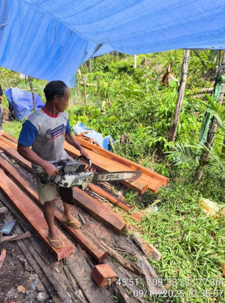 Pelaku pembalakan liar di Sambas, Kalbar.
