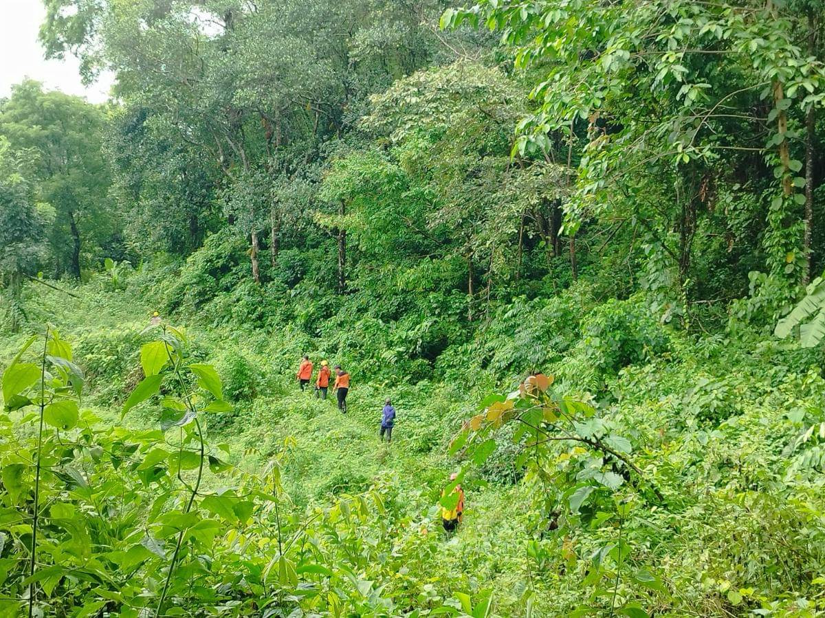 Tim SAR mencari seorang pria lansia yang dilaporkan hilang di hutan Kecamatan Manuju, Kabupaten Gowa. (Dok. Basarnas Makassar)