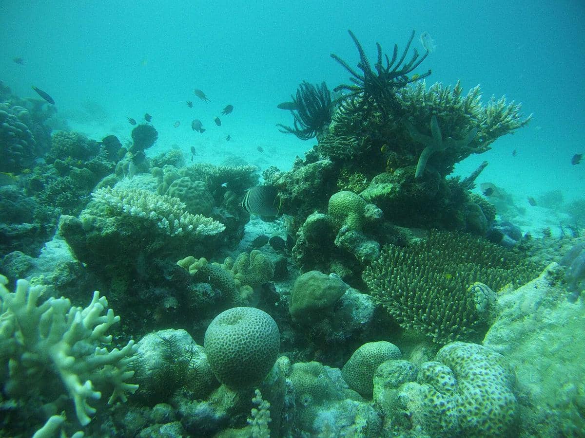 Potret Geopark Maros-Pangkep