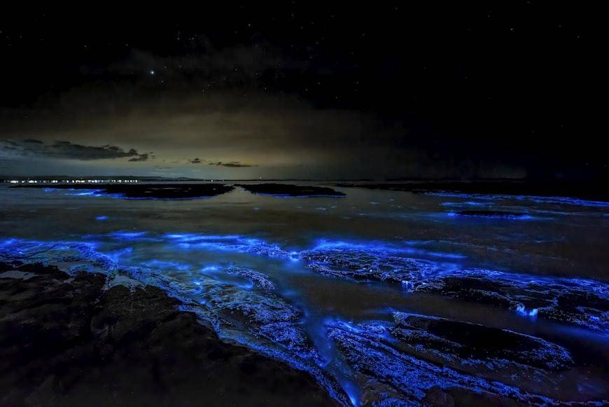 Bioluminescent waves