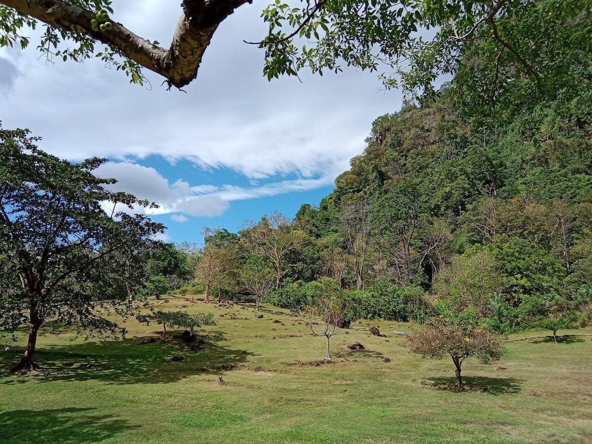 Potret Geopark Maros-Pangkep