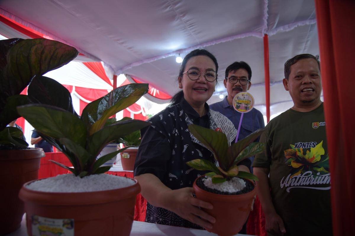 Pameran tanaman hias, tanaman hias, agustina