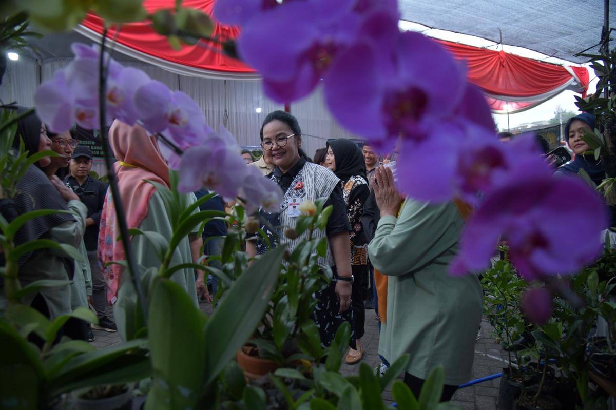 Pameran tanaman hias, tanaman hias, agustina