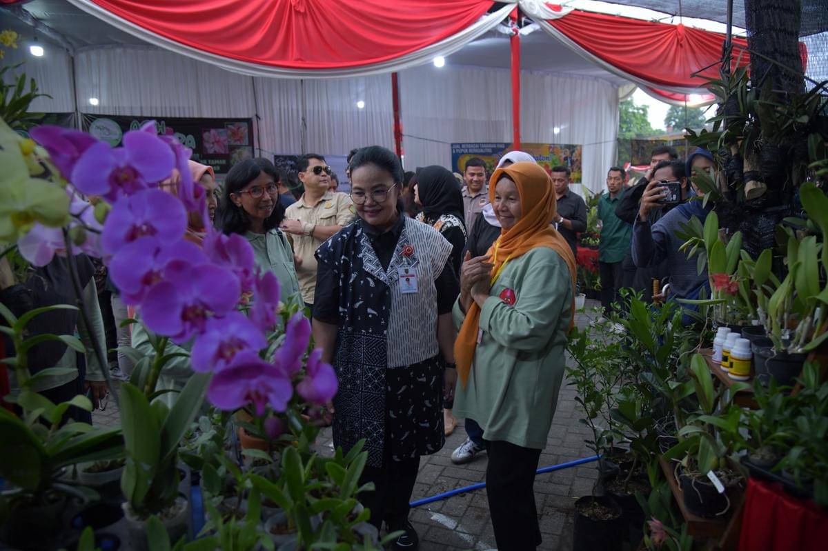 Pameran tanaman hias, tanaman hias, agustina