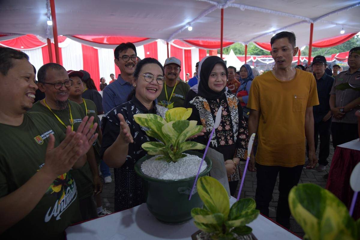 Pameran tanaman hias, tanaman hias, agustina