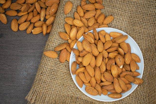 ilustrasi kacang almond