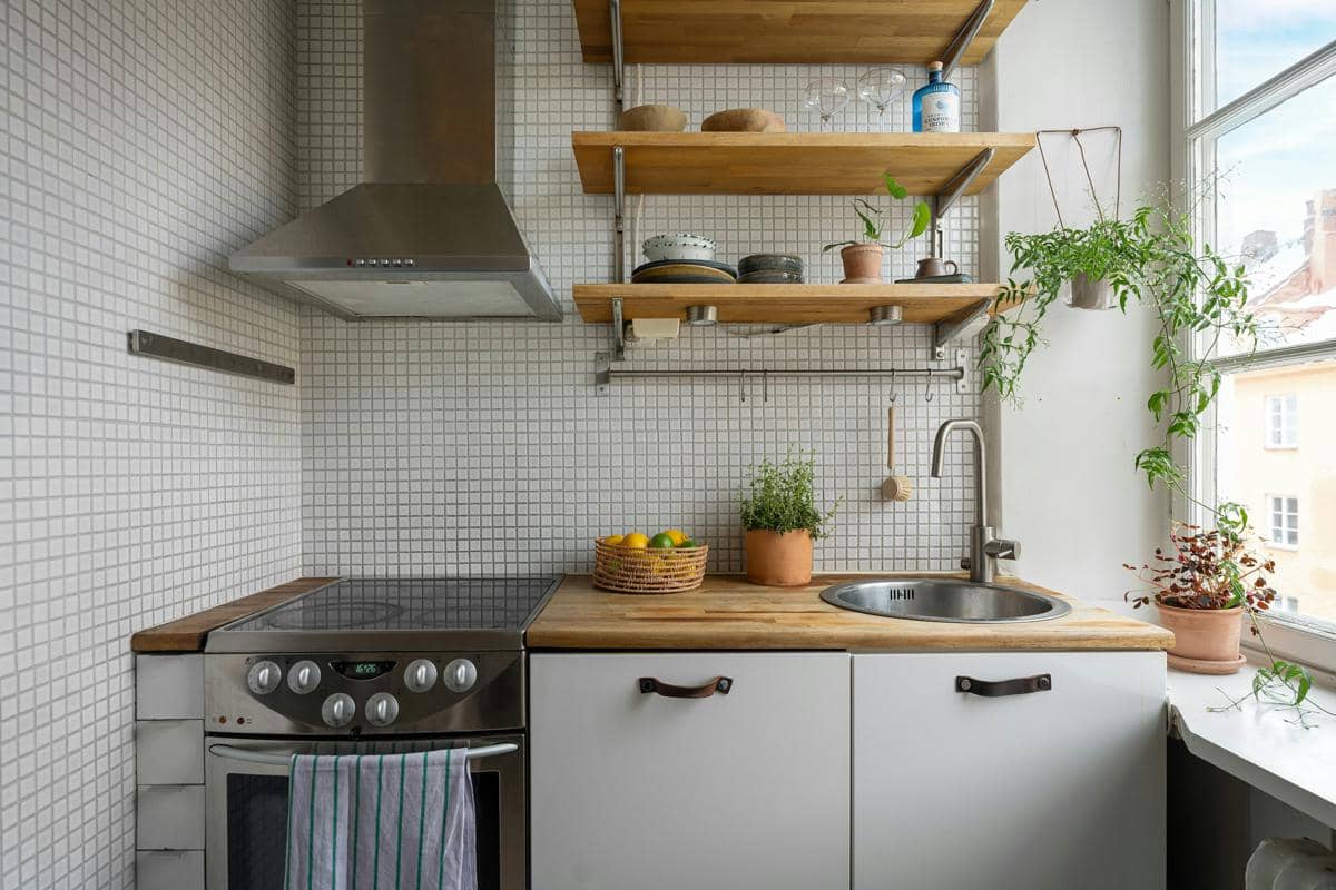 Tanaman Edible yang Bisa Tumbuh di Dapur Kecil, Bermanfaat Banget!