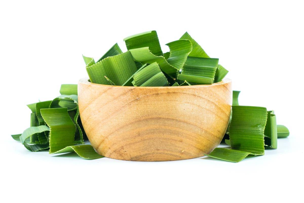 ilustrasi daun pandan yang akan diolah 