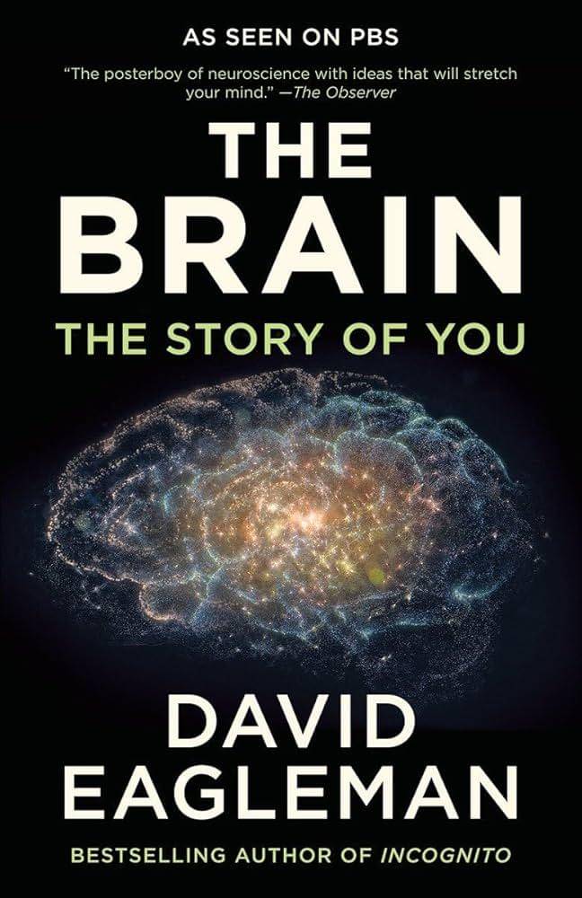 buku The Brain: The Story of You