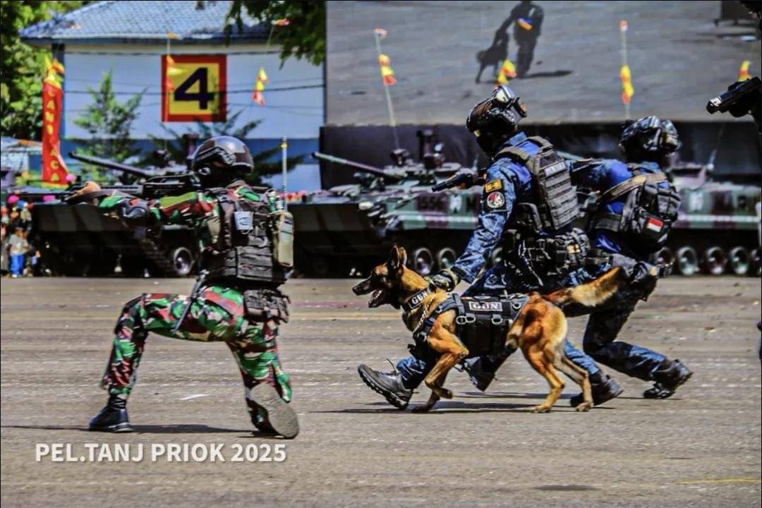 Prajurit marinir TNI Angkatan Laut (AL) ketika unjuk kemampuan di puncak HUT ke-80 di Cilandak, Jakarta Selatan.