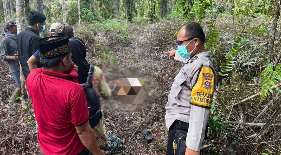 Polisi evakuasi jasad manusia di kebun sawit Desa Jajaran Baru 2 Kecamatan Megang Sakti Kabupaten Musi Rawas. (Dok. Polsek Megang Sakti)