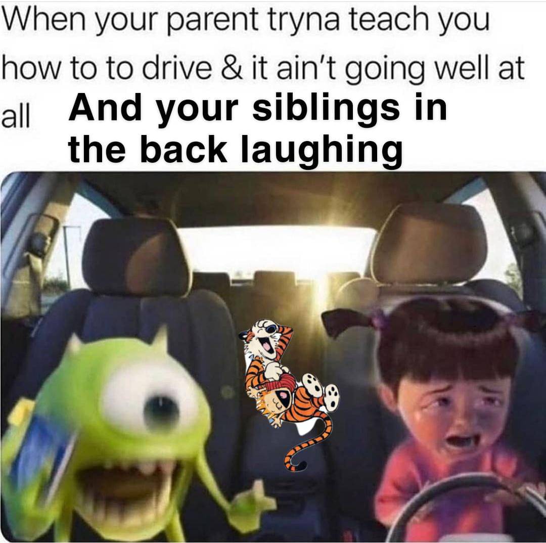 meme kartun tentang menyetir
