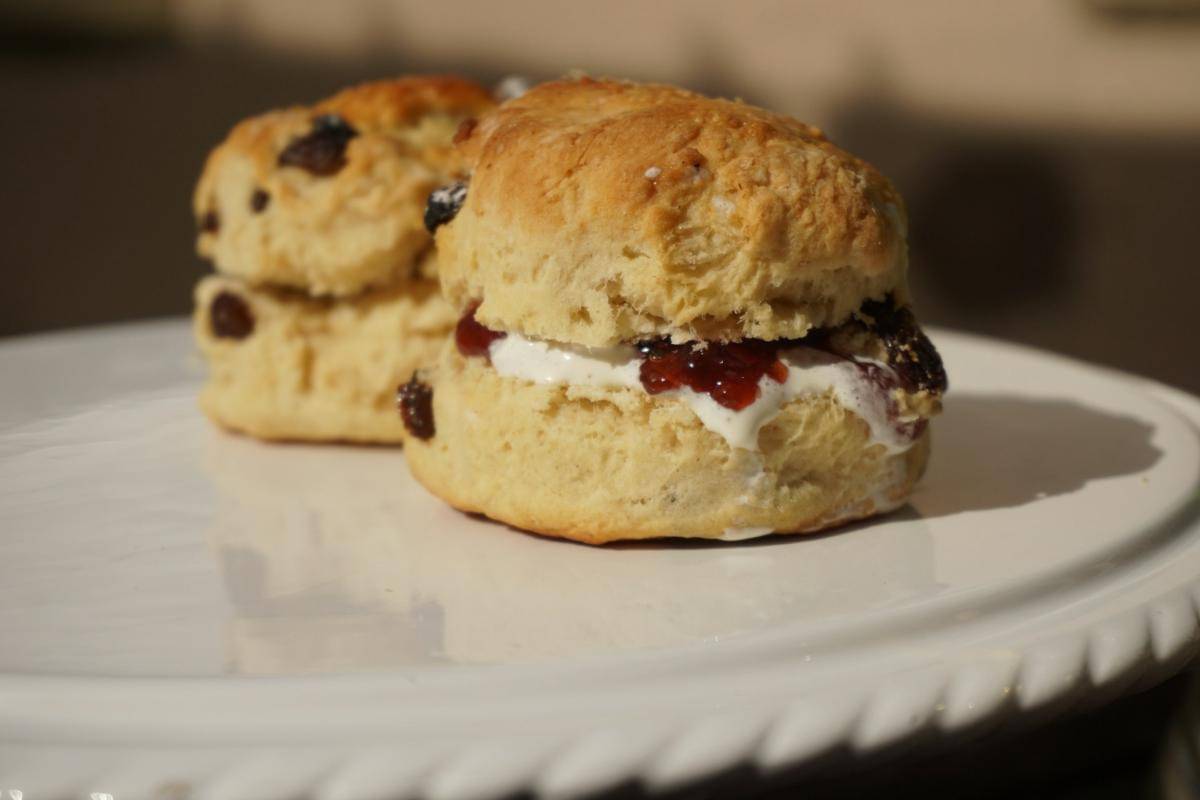 ilustrasi scone