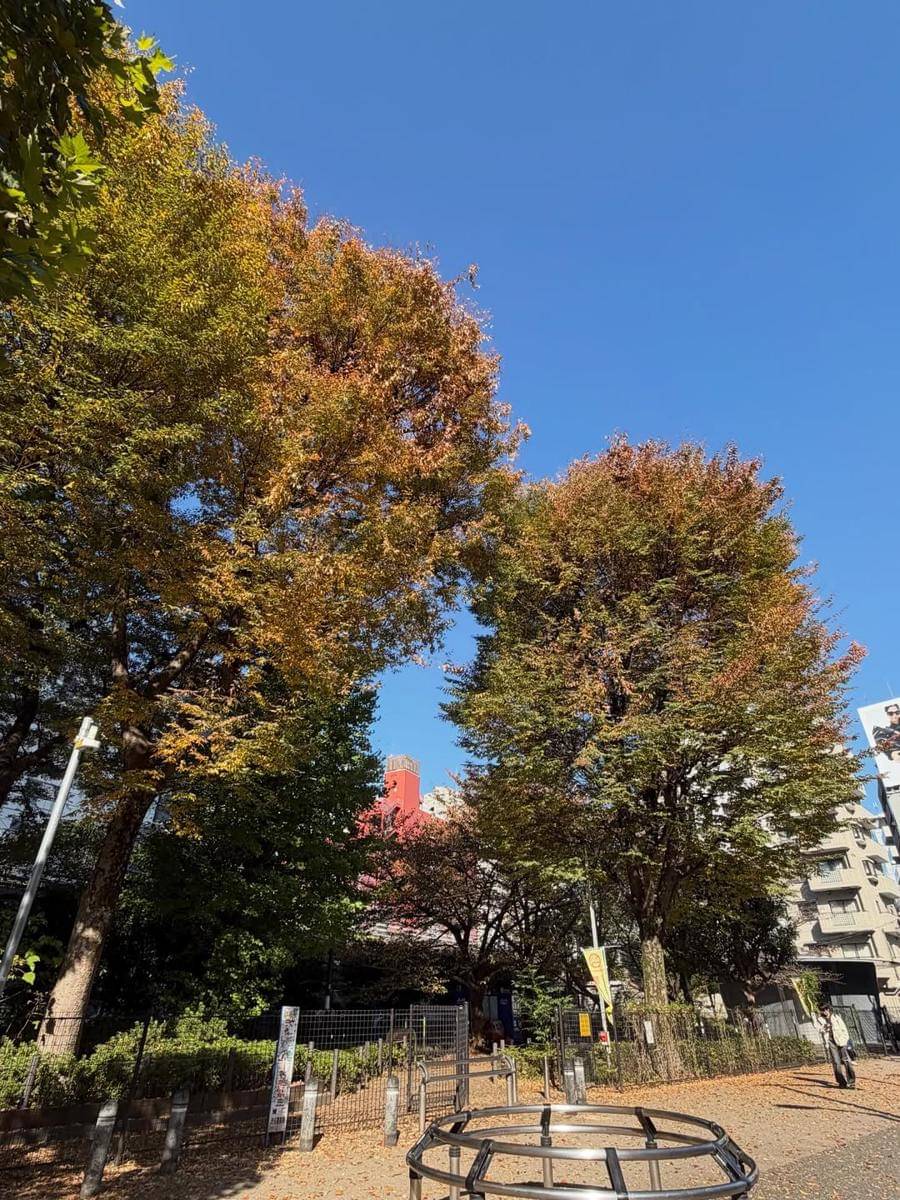 potret Zee Asadel liburan di Tokyo