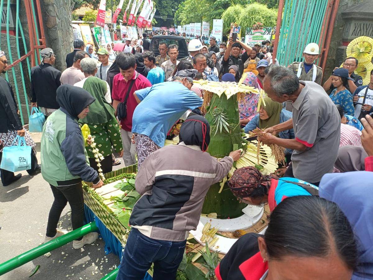 WhatsApp Image 2025-11-18 at 12.51.44.jpeg