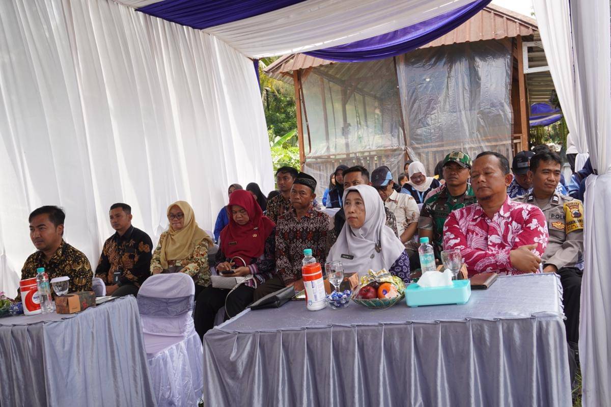 Bri, bri kendal, brilian farm