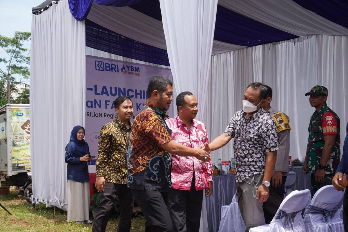 Bri, bri kendal, brilian farm