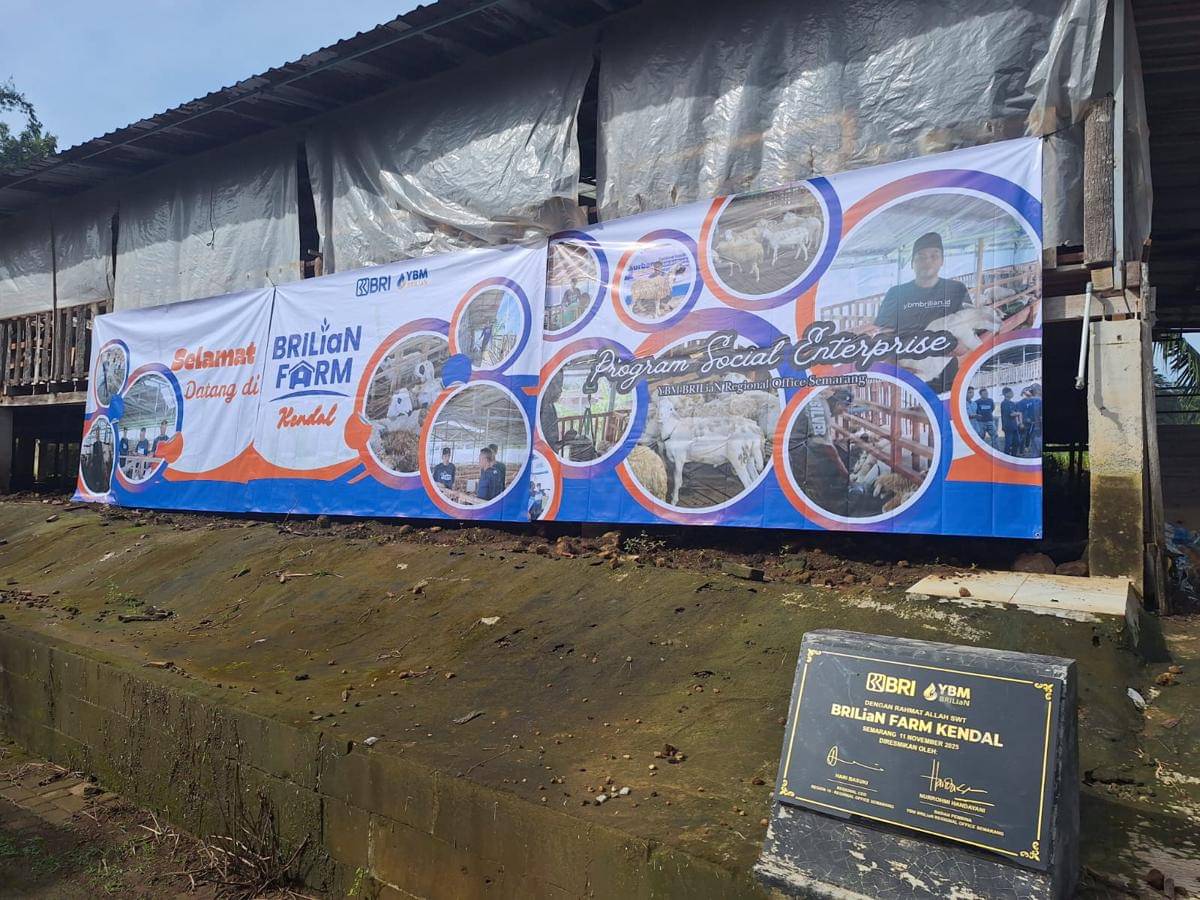 Bri, bri kendal, brilian farm