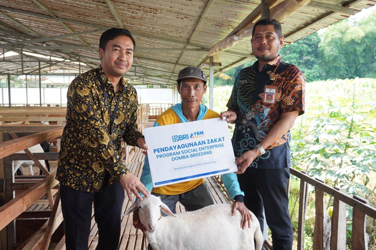 Bri, bri kendal, brilian farm