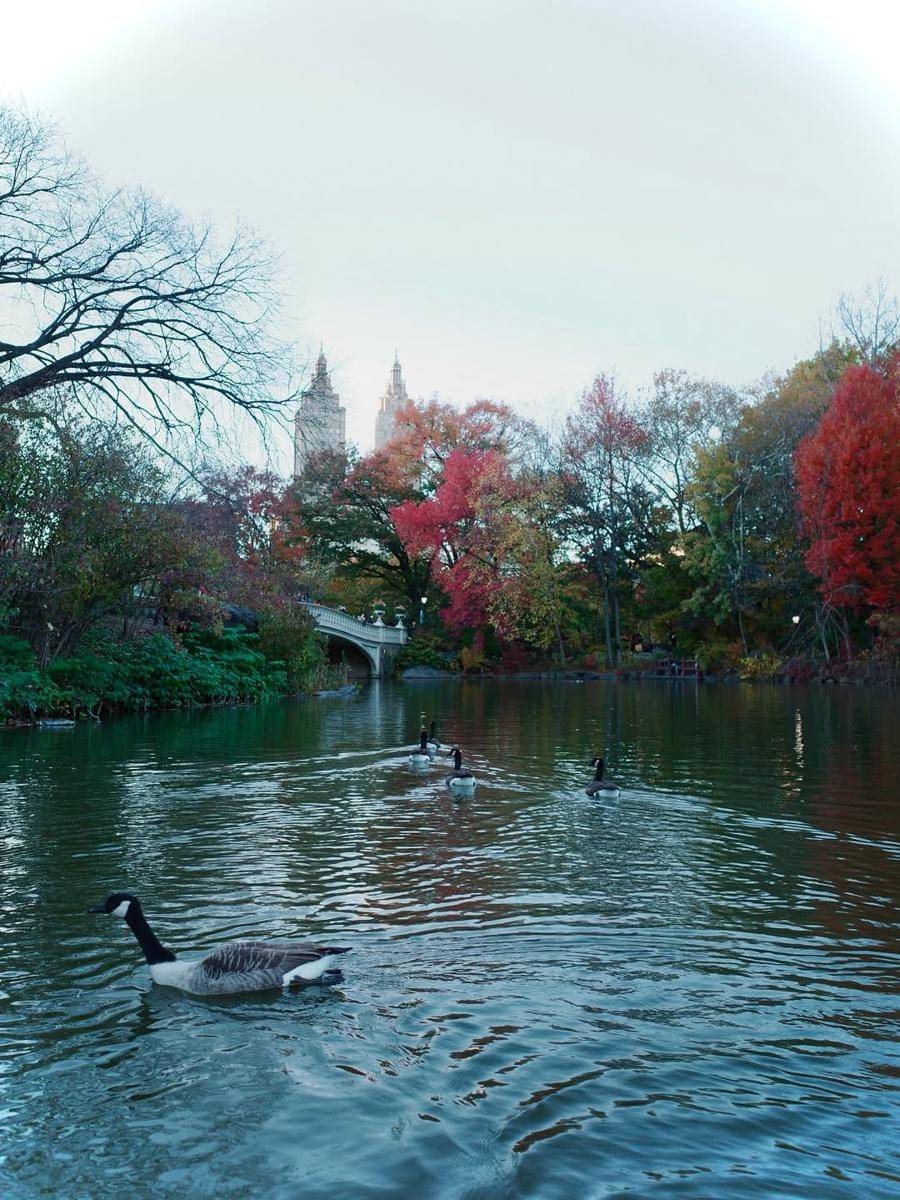 Febby Rastanty naik perahu di Central Park. 