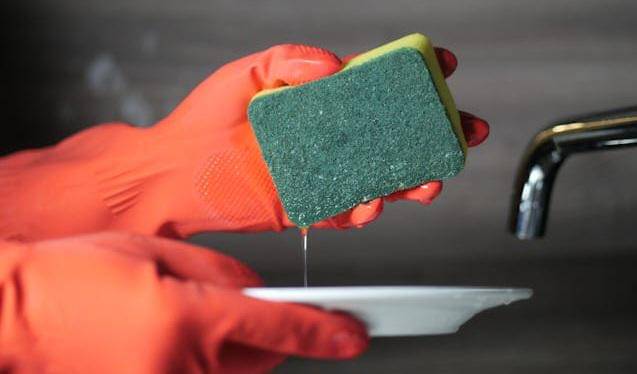 ilustrasi spons cuci piring